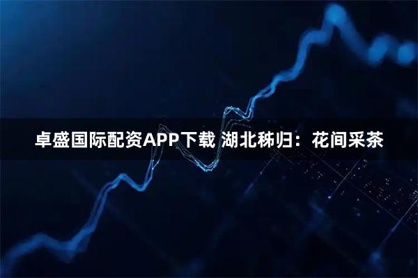 卓盛国际配资APP下载 湖北秭归：花间采茶