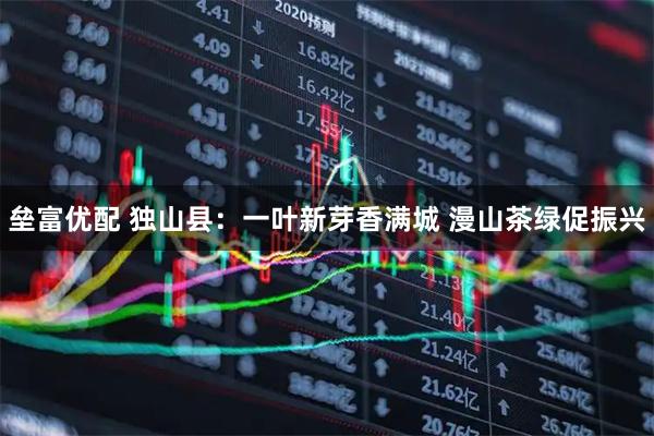 垒富优配 独山县：一叶新芽香满城 漫山茶绿促振兴