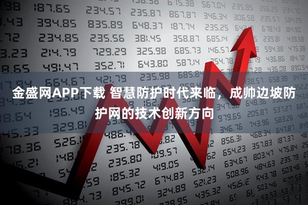金盛网APP下载 智慧防护时代来临，成帅边坡防护网的技术创新方向