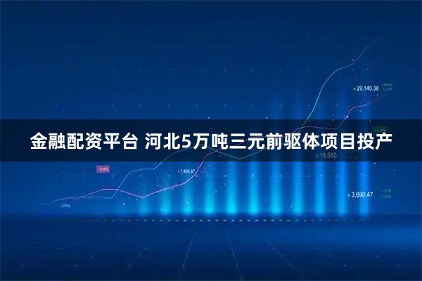 金融配资平台 河北5万吨三元前驱体项目投产