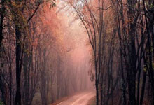 淘配网配资:怎么办理加杠杆炒股-事关全国碳市场建设 中办、国办公布重磅文件